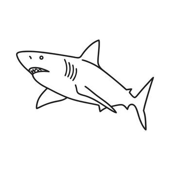 Outline drawing of a shark with sharp teeth fish illustration vector