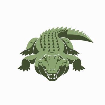 A realistic illustration of a fearsome green alligator with sharp teeth and scaly skin in a predatory stance showing its powerful jaws and detailed claws vector