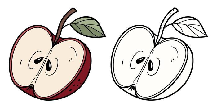 Vibrant red apple half with seeds and leaf, alongside a clean black and white outline version for creative projects vector