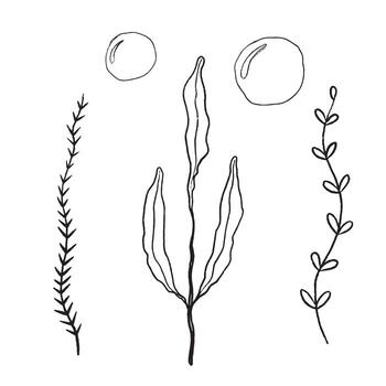 Minimalistic Botanical Illustrations that Feature Natural Organic Shapes and Forms vector