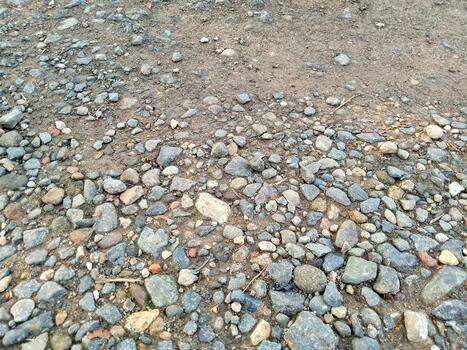 The photo shows a rough ground surface covered with numerous small to medium sized stones scattered closely together