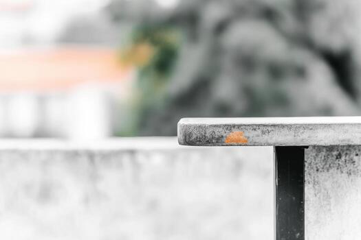 Concrete bench with a distinct rust patch in a natural setting photo