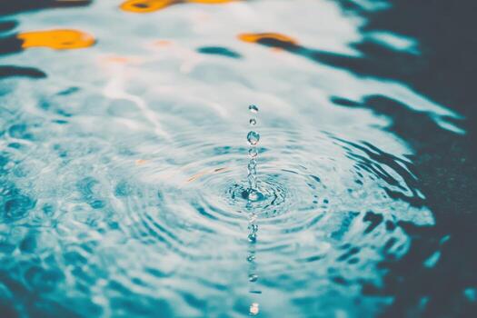 Water droplet creating ripples in a serene pond during daylight photo