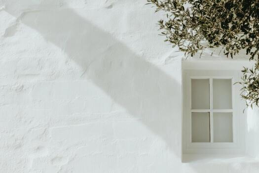 White wall with window and shadow from an olive tree in daytime photo