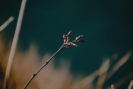 Spring buds bloom on a slender branch by the water's edge during sunrise photo