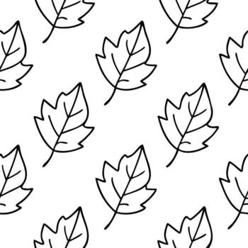 Seamless Pattern of Autumn Leaves Drawn in Thin Black Lines , Autumn Leaves Seamless , Fall Foliage Pattern , Thin Line Autumn Leaf vector