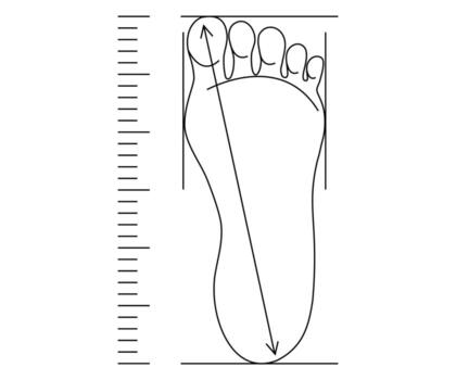 Foot size, shoe length measure. Footwear check. Footstep length and width on ruler. Line simple drawing. vector