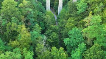 Upptäck de zampach järnväg bro, de högsta sten bro i Tjeckien. bevittna dess imponerande arkitektur och naturskön miljö medan inlärning handla om dess historisk betydelse. video