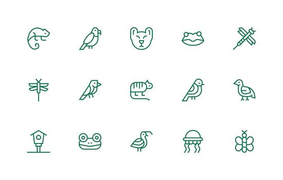15 Regular Line Icons for Fauna Graphics vector