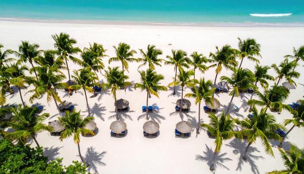 Tropical beach with palm trees and thatched umbrellas casting shadows on white sand near turquoise ocean water, creating peaceful and relaxing vacation atmosphere photo