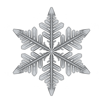 Closeup macro shot of a single snowflake crystal isolated on transparent background, showcasing its intricate and unique ice structure png
