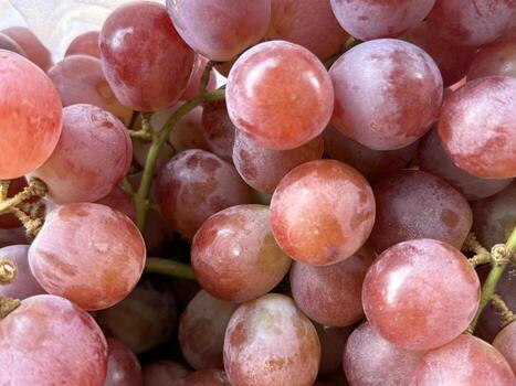 Close view shows a cluster of fresh, juicy, and plump red globe grapes photo