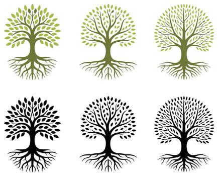 Stylized Tree of Life and Roots Graphics in Green and Black branches leaves vector