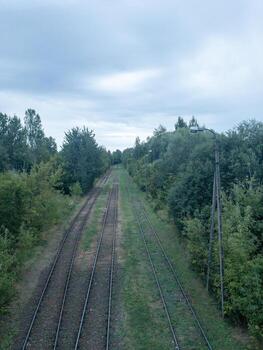 Multiple railway tracks running through a green forest corridor under an overcast sky, elevated view with vanishing point. photo