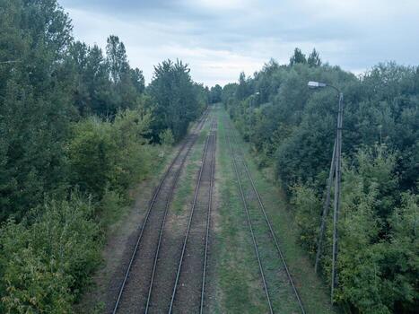 Multiple railway tracks running through a green forest corridor under an overcast sky, elevated view with vanishing point photo
