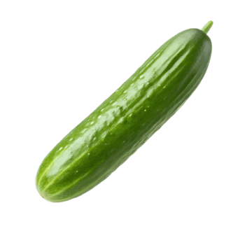 ein Grün Gurke, ganz, glatt Textur, schwimmend, minimalistisch 3d, isoliert, isoliert auf ein transparent Hintergrund png