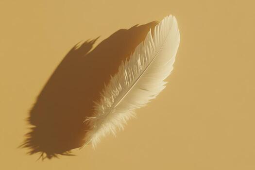 Soft white feather casting a delicate shadow on warm background photo