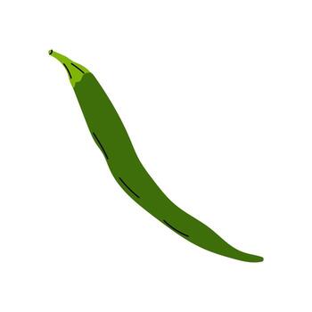 Fresh green chili pepper displayed on a plain background showcasing its vibrant color and elongated shape in simple style vector