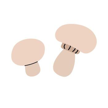 Simple illustration of two mushrooms in a minimalistic style against a blank background vector