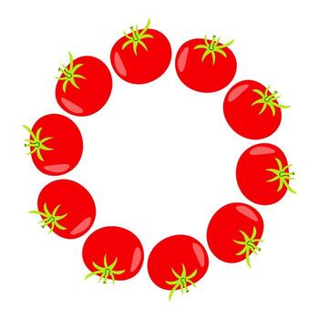 Round frame tomatoes arranged in a circular pattern on a white background for culinary presentation vector