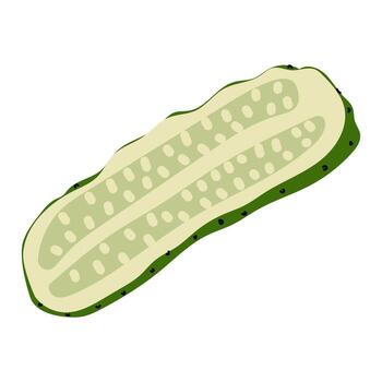 Cucumber sliced open, showcasing seeds and texture in a bright illustration vector