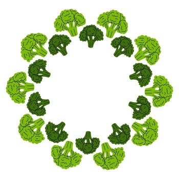 Round frame of broccoli in different sizes, design on a white background. Healthy eating. illustration. vector
