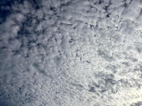 Cloudy Sky with Soft Light in the Afternoon photo