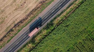 Antenne Aussicht von Lastwagen Fahren entlang ein ländlich Straße entlang ein Sonnenblume Feld auf ein Sommer- Morgen. video