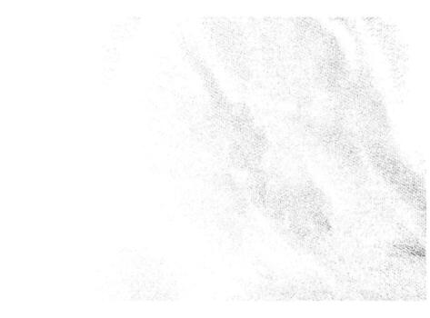 Dense grunge texture . Distressed overlay texture. Grunge background. Abstract mild textured effect. vector