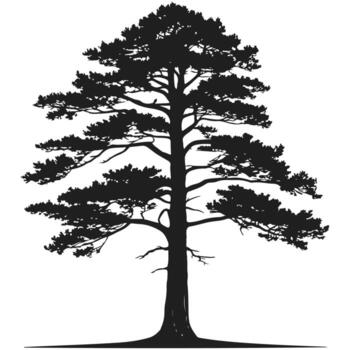 Tall Tree Silhouette with Strong Trunk and Branches for Natural Landscape and Forest Design vector