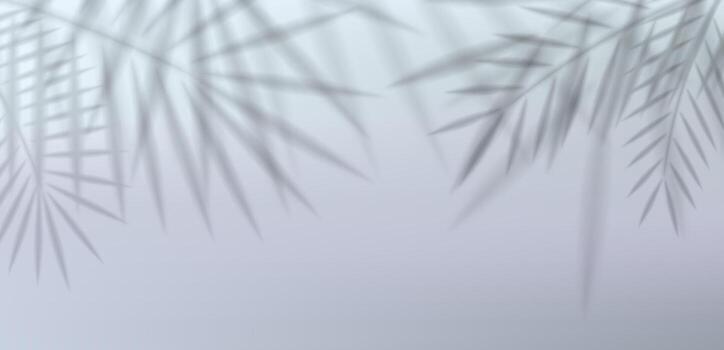 tropical palma árbol hoja sombra cubrir con luz de sol reflexión en blanco pared. realista silueta antecedentes para verano playa diseño, presentación, Bosquejo o exótico naturaleza modelo. vector