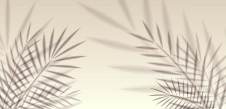 Tropical palm foliage shadow with sunlight blur effect on wall. Realistic overlay background for exotic beach template, presentation, spring nature design or mockup element. vector