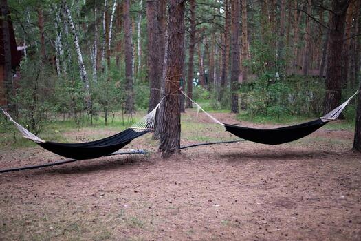 The image presents a scene of relaxation and technology, as someone uses a tablet while lounging in a hammock. photo