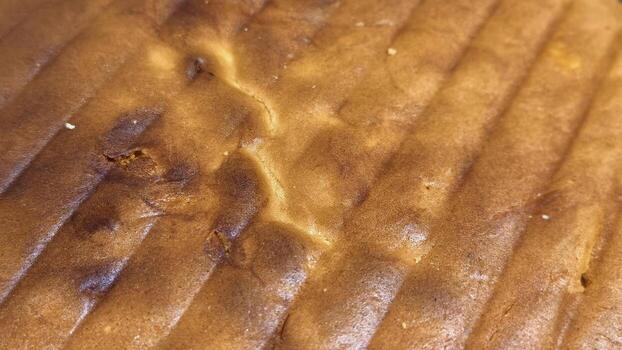 Warm Golden Brown Grilled Texture on Delicious Baked Food Surface photo