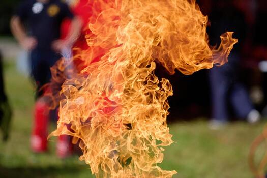 Dancing Flames. A vivid display of orange flames with a blurred background photo