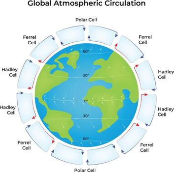 Diagram of global atmospheric circulation cells vector