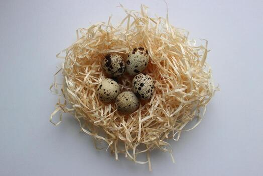 Five Spotted Eggs In A Hay Nest On A White Surface Top View photo