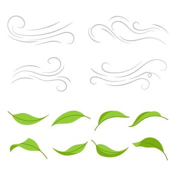 Set of green leaves and wind flow icons on white background. Constructor with natural elements for different design. vector