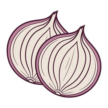 Two halves of a red onion shown in a simple illustration style with visible layers vector