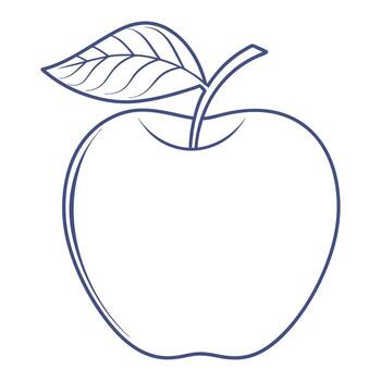 Simple hand drawn outline of a fresh apple with a stem and leaf on a white background vector