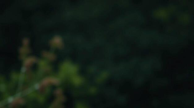 A close up of a bird sitting on a branch photo