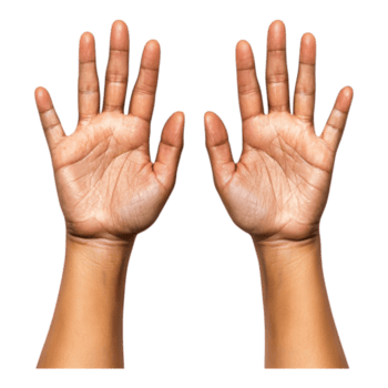 closeup View of Two Open Hands Displaying Palm for Gesture and Communication png