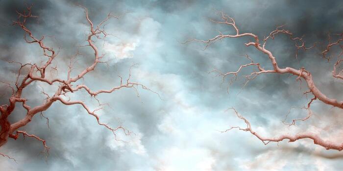 desnudo árbol ramas en contra oscuro nublado cielo dramático Cloudscape resumen naturaleza escena vacío árbol leña menuda melancólico clima antecedentes foto