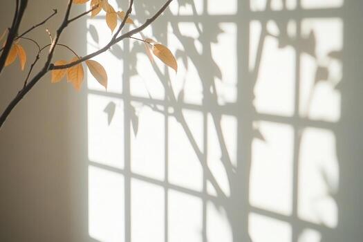 Sunlit branch with leaves casting grid and tree shadows on a light wall capturing natural light and abstract patterns indoor photo
