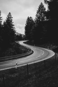 A curving road cuts through a lush forest, shrouded in clouds. The landscape features tall trees lining the highway, creating a serene atmosphere during the overcast weather. photo