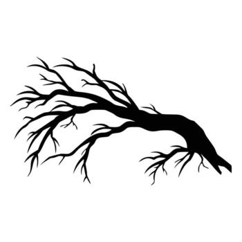 Bare Tree Branch Silhouette Graphic Design Element vector