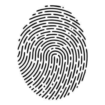 Fingerprint Illustration Security Identity Authentication Biometric Technology vector