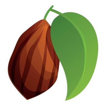 Cocoa bean and leaf showing delicious chocolate source vector