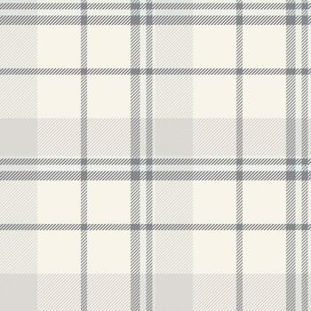 elegante tartán modelo en apagado tonos sofisticado diseño para antecedentes, textiles, o web diseño. evoca calor y clásico estilo. versátil para muchos usos. vector