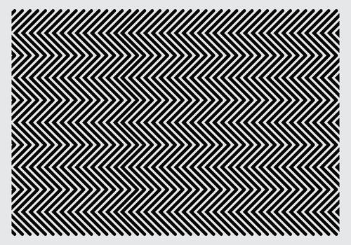 Optical illusion zigzag pattern reveals hidden image vector